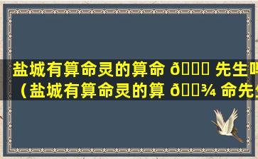 盐城有算命灵的算命 🐋 先生吗（盐城有算命灵的算 🌾 命先生吗在哪里）